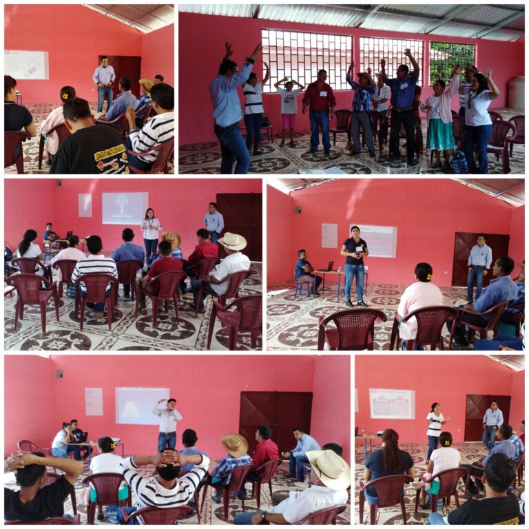 Capacitación a integrantes del órgano de coordinación.