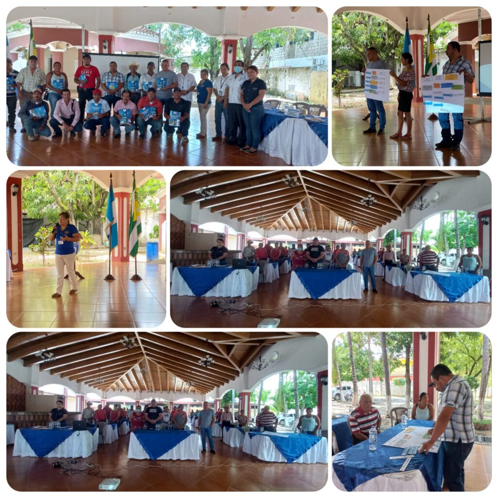 Participación Ciudadana